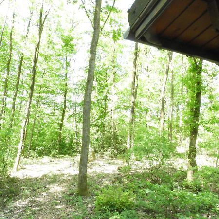Chalet Louislola Villa Oignies Dış mekan fotoğraf