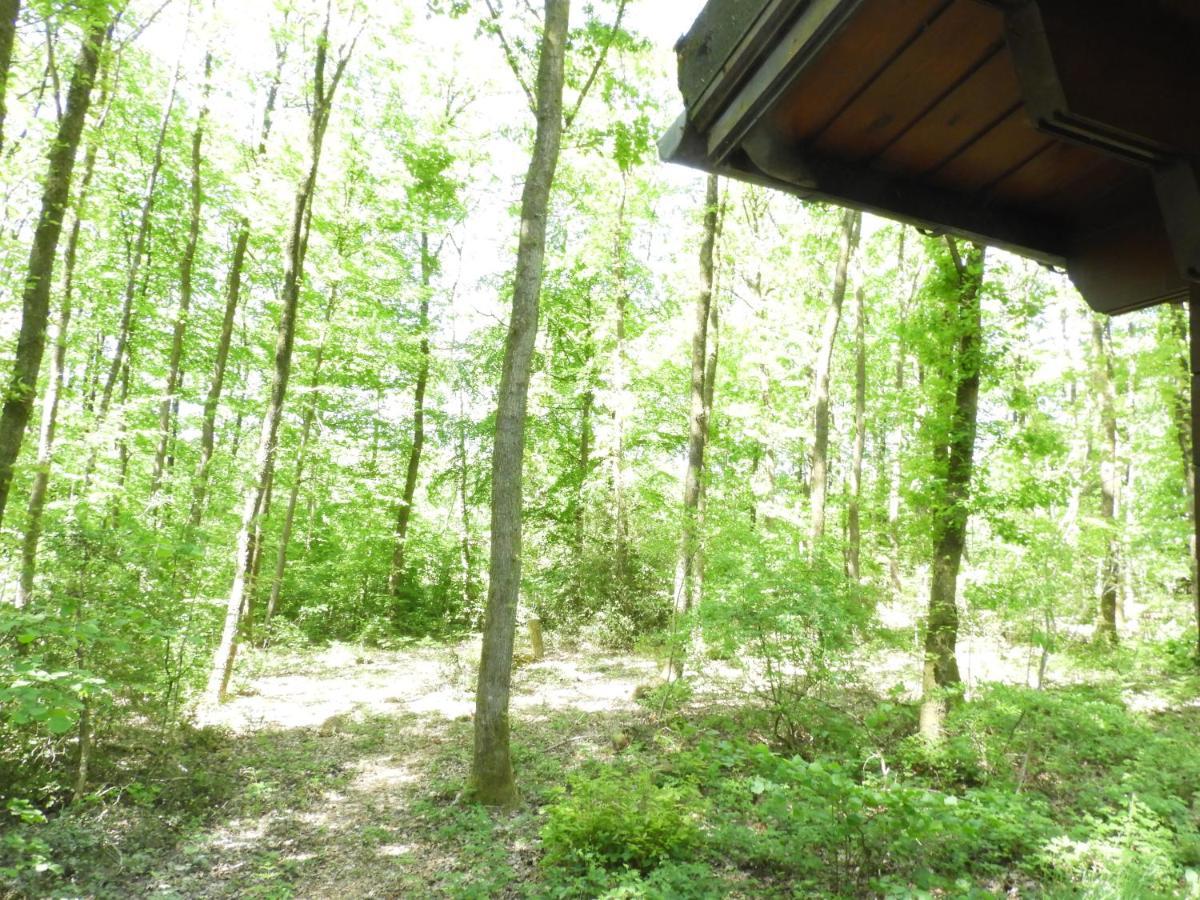 Chalet Louislola Villa Oignies Dış mekan fotoğraf